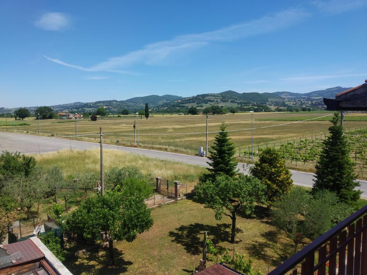 B&B Iris Assisi Exterior photo